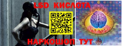 тгк Новодвинск