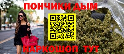 тгк Новодвинск