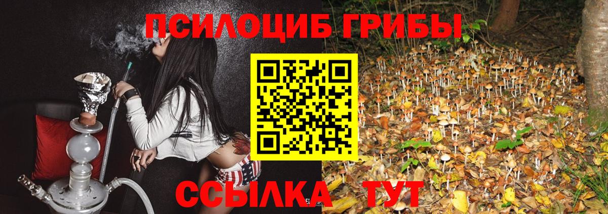 Псилоцибиновые грибы мухоморы  Вход с VPN  даркнет сайт  Галлюциногенные грибы Psilocybine cubensis  Строитель 