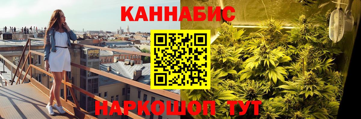 Бошки Шишки план Строитель